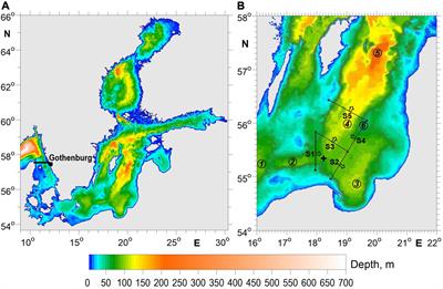 Wind-Controlled Transport of Saltwater in the Southeastern Baltic Sea: A Model Study